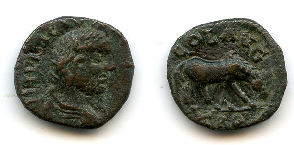 AE19 of Gallienus (253-268 AD), Alexandria Troas, Roman Empire (Bellinger A451)