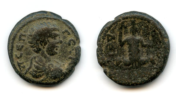 AE23 of Geta (209-212 AD), Dium, Syria, Roman Empire