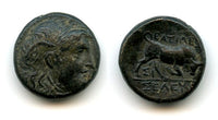 AE14 (half unit), Seleukos I Nikator, 312-280 BC, Sardis mint, Seleukid Empire