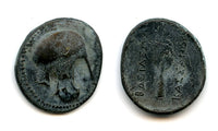 AE21 of Kassander (317-297 BC), Macedonian Kingdom, Greece